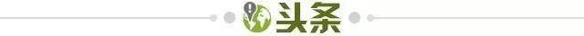 1730245136473030435.jpg 头条.jpg